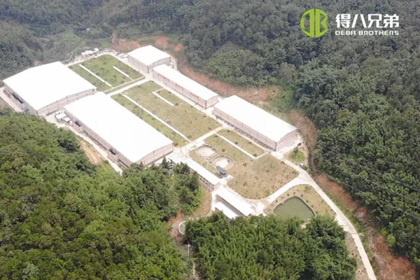 ãLikido elikadura sistemaGuangdong Zhaoqing 20000 gizentzea 10000 txerri-haztegia.