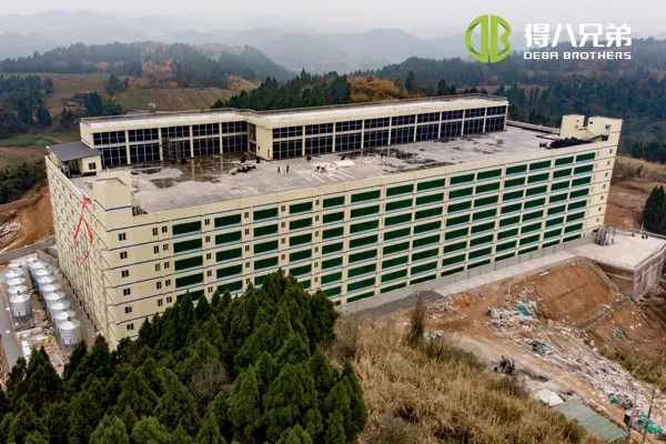 ãMulti Soly projectãSichuan Qiquan taldea 10000 sows ustiategia
