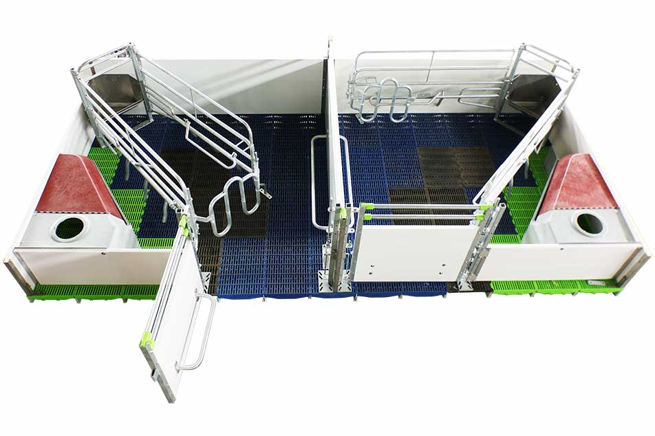 Deba Brothers®-ren Welsafe Farrowing Crate: txerrikumeen segurtasuna eta animalien ongizatea aitzindaria