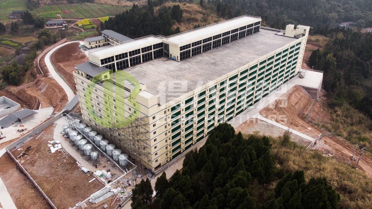 Nola hobetu ingurumen-kalitatea txerri-haztegi modernoaren diseinuan