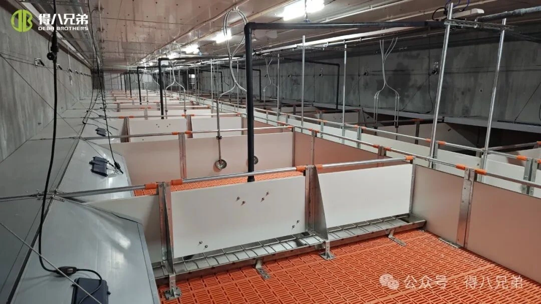 Bero-estresaren prebentzioa eta kudeaketa txerri-haztegietan eguraldi beroan